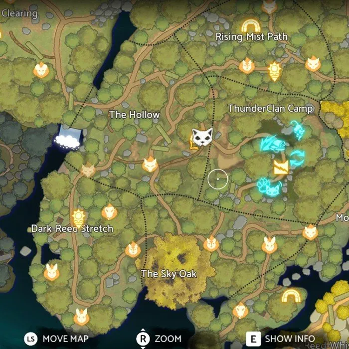 Warrior Cats: Clans of the Forest ThunderClan sun spots locations along the main road